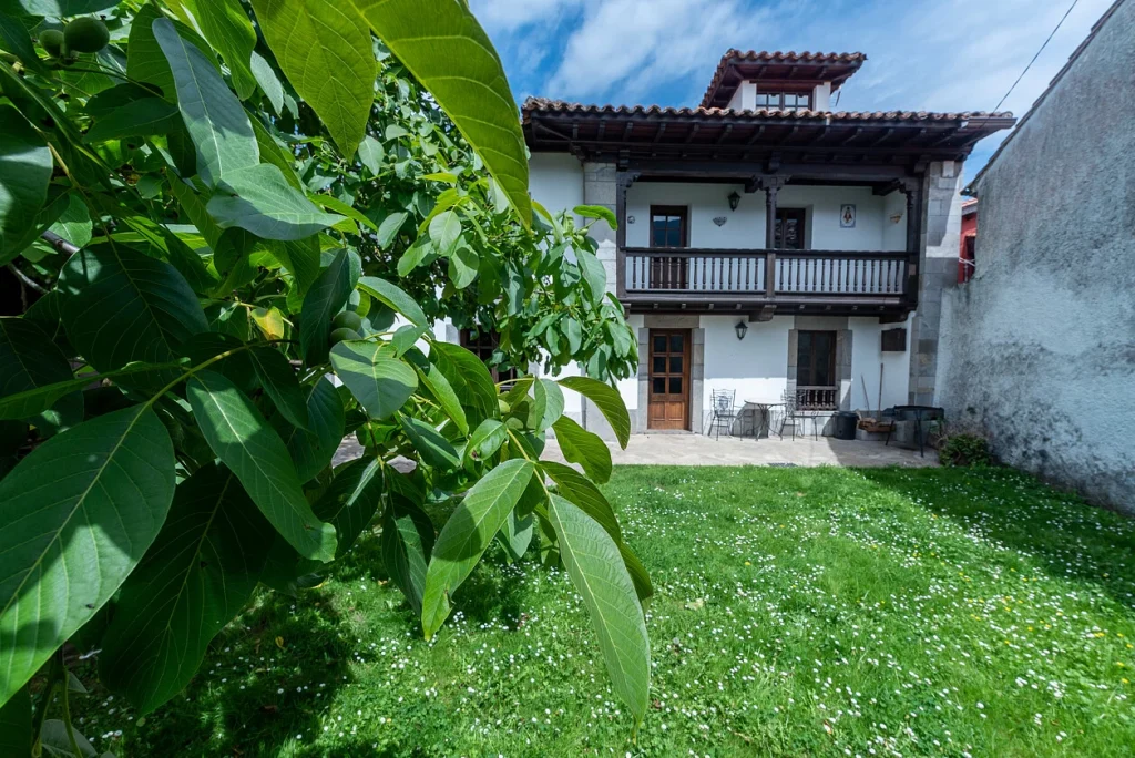Casa Dario